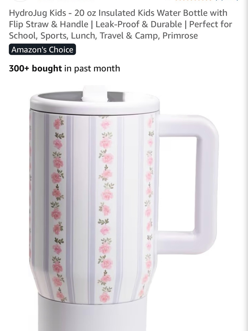 HydroJug Sage Green and Floral Insulated Travel Mug with Handle